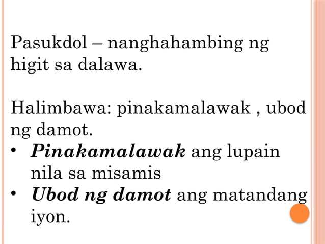 MGA PANURING POWERPOINT PANG-ABAY AT PANG-URI.pptx