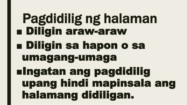 Larawan Ng Nagdidilig Ng Halaman Drawing Ito ang pag aalaga ng mga hayop