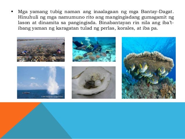 42+ Kalagayan ng yamang pangisdaan information