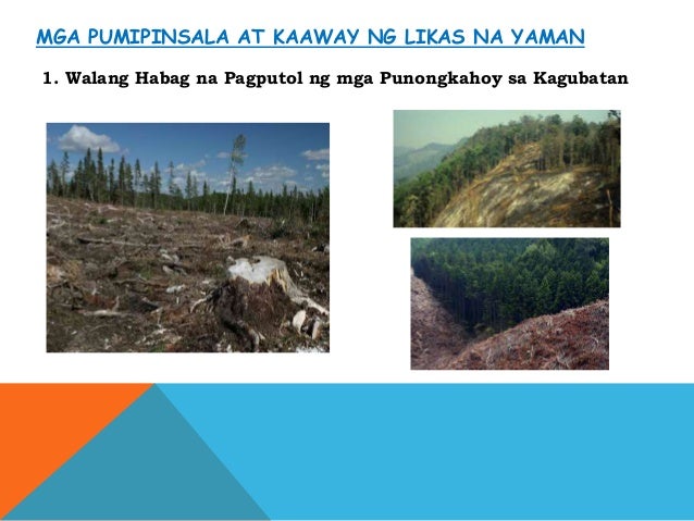 paano pangalagaan ang kalikasan Ang kalikasan,itoy ating alagaan mahalin at pagyamanin dahil kapag mawala ito paano na tayo, san tayokukuha nang pagkain,maiinum na tubig,diba la. paano pangalagaan ang kalikasan Ang kalikasan,itoy ating alagaan mahalin at pagyamanin dahil kapag mawala ito paano na tayo, san tayokukuha nang pagkain,maiinum na tubig,diba la.