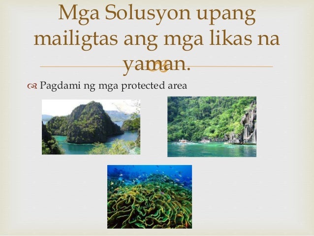 Pangangalaga Sa Timbang Na Kalagayang Ekolohiya