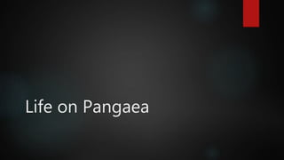 Life on Pangaea
 