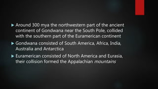  Around 300 mya the northwestern part of the ancient
continent of Gondwana near the South Pole, collided
with the southern part of the Euramerican continent
 Gondwana consisted of South America, Africa, India,
Australia and Antarctica
 Euramerican consisted of North America and Eurasia,
their collision formed the Appalachian mountains
 