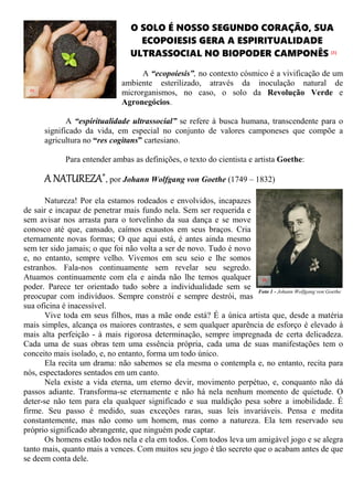 O SOLO É NOSSO SEGUNDO CORAÇÃO, SUA
ECOPOIESIS GERA A ESPIRITUALIDADE
ULTRASSOCIAL NO BIOPODER CAMPONÊS [1]
A “ecopoiesis”, no contexto cósmico é a vivificação de um
ambiente esterilizado, através da inoculação natural de
microrganismos, no caso, o solo da Revolução Verde e
Agronegócios.
A “espiritualidade ultrassocial” se refere à busca humana, transcendente para o
significado da vida, em especial no conjunto de valores camponeses que compõe a
agricultura no “res cogitans” cartesiano.
Para entender ambas as definições, o texto do cientista e artista Goethe:
A NATUREZA*
, por Johann Wolfgang von Goethe (1749 – 1832)
Natureza! Por ela estamos rodeados e envolvidos, incapazes
de sair e incapaz de penetrar mais fundo nela. Sem ser requerida e
sem avisar nos arrasta para o torvelinho da sua dança e se move
conosco até que, cansado, caímos exaustos em seus braços. Cria
eternamente novas formas; O que aqui está, é antes ainda mesmo
sem ter sido jamais; o que foi não volta a ser de novo. Tudo é novo
e, no entanto, sempre velho. Vivemos em seu seio e lhe somos
estranhos. Fala-nos continuamente sem revelar seu segredo.
Atuamos continuamente com ela e ainda não lhe temos qualquer
poder. Parece ter orientado tudo sobre a individualidade sem se
preocupar com indivíduos. Sempre constrói e sempre destrói, mas
sua oficina é inacessível.
Vive toda em seus filhos, mas a mãe onde está? É a única artista que, desde a matéria
mais simples, alcança os maiores contrastes, e sem qualquer aparência de esforço é elevado à
mais alta perfeição - à mais rigorosa determinação, sempre impregnada de certa delicadeza.
Cada uma de suas obras tem uma essência própria, cada uma de suas manifestações tem o
conceito mais isolado, e, no entanto, forma um todo único.
Ela recita um drama: não sabemos se ela mesma o contempla e, no entanto, recita para
nós, espectadores sentados em um canto.
Nela existe a vida eterna, um eterno devir, movimento perpétuo, e, conquanto não dá
passos adiante. Transforma-se eternamente e não há nela nenhum momento de quietude. O
deter-se não tem para ela qualquer significado e sua maldição pesa sobre a imobilidade. É
firme. Seu passo é medido, suas exceções raras, suas leis invariáveis. Pensa e medita
constantemente, mas não como um homem, mas como a natureza. Ela tem reservado seu
próprio significado abrangente, que ninguém pode captar.
Os homens estão todos nela e ela em todos. Com todos leva um amigável jogo e se alegra
tanto mais, quanto mais a vences. Com muitos seu jogo é tão secreto que o acabam antes de que
se deem conta dele.
Foto 1 - Johann Wolfgang von Goethe
[1]
[2]
 