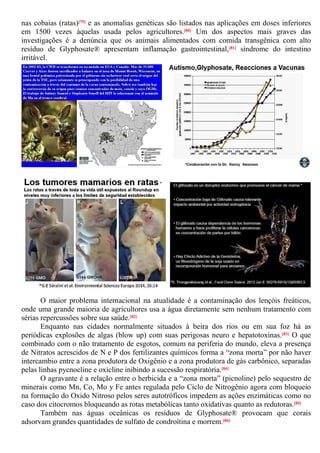 nas cobaias (ratas)[79] e as anomalias genéticas são listados nas aplicações em doses inferiores
em 1500 vezes àquelas usada pelos agricultores.[80] Um dos aspectos mais graves das
investigações é a denúncia que os animais alimentados com comida transgênica com alto
resíduo de Glyphosate® apresentam inflamação gastrointestinal,[81] síndrome do intestino
irritável.
O maior problema internacional na atualidade é a contaminação dos lençóis freáticos,
onde uma grande maioria de agricultores usa a água diretamente sem nenhum tratamento com
sérias repercussões sobre sua saúde.[82]
Enquanto nas cidades normalmente situados à beira dos rios ou em sua foz há as
periódicas explosões de algas (blow up) com suas perigosas neuro e hepatotoxinas.[83] O que
combinado com o não tratamento de esgotos, comum na periferia do mundo, eleva a presença
de Nitratos acrescidos de N e P dos fertilizantes químicos forma a “zona morta” por não haver
intercambio entre a zona produtora de Oxigênio e a zona produtora de gás carbônico, separadas
pelas linhas pycnocline e oxicline inibindo a sucessão respiratória.[84]
O agravante é a relação entre o herbicida e a “zona morta” (picnoline) pelo sequestro de
minerais como Mn, Co, Mo y Fe antes regulada pelo Ciclo de Nitrogênio agora com bloqueio
na formação do Oxido Nitroso pelos seres autotróficos impedem as ações enzimáticas como no
caso dos citocromos bloqueando as rotas metabólicas tanto oxidativas quanto as redutoras.[85]
Também nas águas oceânicas os resíduos de Glyphosate® provocam que corais
adsorvam grandes quantidades de sulfato de condroítina e morrem.[86]
 