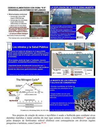 Nos projetos de criação de ostras e mexilhões é usado o herbicida para combater ervas
daninhas marinhas e matar estrelas do mar (que comem as ostras e mexilhões),[87] agravado
pelos despejos de fertilizantes solúvel (fósforo) com consequências em diversas regiões
pesqueiras e turísticas, como Cancun.[88 e 89]
 