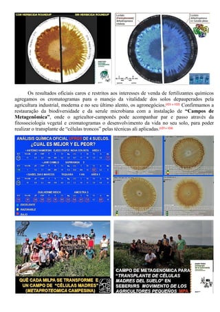 Os resultados oficiais caros e restritos aos interesses de venda de fertilizantes químicos
agregamos os cromatogramas para o manejo da vitalidade dos solos depauperados pela
agricultura industrial, moderna e no seu último alento, os agronegócios.[121 e 122] Confirmamos a
restauração da biodiversidade e da serule microbiana com a instalação de “Campos de
Metagenômica”, onde o agricultor-camponês pode acompanhar par e passo através da
fitossociologia vegetal e cromatogramas o desenvolvimento da vida no seu solo, para poder
realizar o transplante de “células troncos” pelas técnicas ali aplicadas.[123 e 124]
 