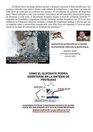 No Brasil havia um grupo político prestes a alcançar o governo e fazia barulho para seu
sucesso e defendia com unhas e dentes a não entrada de transgênicos, o que fazia o governo de
FHC fazer de conta que era contrário aos mesmos. O contrabando de sementes da Argentina
para o Brasil com grãos e não com sementes fazia passar até mil caminhões diários pelos postos
de fronteiras a cada noite. O documento brasileiro mostra o nível de corrupção existente.[140]
Enquanto na Groelândia o gigantesco Glaciar Zachariae Isstrom desaparece nos EUA em uma
audiência no Congresso cientistas mostram a relação do Glyphosate análogo à Glicina que faz
as suspeitas sobre a microcefalia causada pelo vírus Zika ficar sob suspeição,[141] pois ele pode
inserir-se no lugar do aminoácido na formação das proteínas.[142]
 