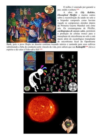 O milho é venerado por garantir a
paz, saúde e cultura.[143]
A obra de Lily Kolisko,
Ehrenfried Pfeiffer e muitos outros
sobre a reconstrução da saúde no solo e
o biopoder camponês como haviam
rogado os camponeses alemães depois
da Primeira Guerra Mundial está entre
nós. Os cromatograma de Pfeiffer,
cardiograma de nossos solos, permitem
a produção de células tronco para o
transplante de microbioma no solo e está
muito além do escatológico transplante
de microbioma fecal do Openbiome
Bank, pois o povo Hopis no deserto continua tocando música e cantando para seus cultivos
substituindo a falta de condições pelo vínculo da vida, pois sabem que seu Kokopilli[144] eleva o
espírito e dá valor à Vida sob o Sol.[145]
 