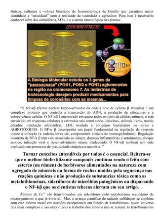 étnicos, culturais e valores bioéticos da fenomenologia de Goethe que garantem maior
identidade e “unicidade” com a realidade da sociedade e agricultor. Para isso é necessário
conhecer além dos sideróforos, MTs, e o sistema imunológico das plantas.
“O NF-κβ (factor nuclear kappa-activador da cadeia leve de células β ativadas) é um
complexo proteico que controla a transcrição do ADN, à produção de citoquinas e a
sobrevivência celular. O NF-κβ é encontrado em quase todos os tipos de células animais, e está
envolvido em respostas celulares a estímulos tais como stress, citocinas, radicais livres, metais
pesados, irradiação ultravioleta, LDL oxidada e antígenos bacterianos ou virais e
AGROTÓXICOS. O NF-κ β desempenha um papel fundamental na regulação da resposta
imune à infecção (κ cadeias leves são componentes críticos de imunoglobulinas). Regulação
incorreta de NF-k β tem sido associada ao câncer, doenças inflamatórias e autoimunes, choque
séptico, infecção viral e desenvolvimento imune inadequado. O NF-κβ também tem sido
implicado em processos de plasticidade sináptica e memória. ”
Tornar conceitos entendíveis por todos é o essencial. Reitera-se
que o melhor biofertilizante camponês continua sendo o feito com
esterco (ou rúmen) de herbívoros alimentados na natureza com
agregado de minerais na forma de rochas moídas pela segurança nas
reações químicas e não produção de substancias tóxica como as
metalothioneínas, sideróforos de micróbios patogênicos ou disparando
o NF-kβ que os cientistas tchecos alertam em seu artigo.
Átomos de Fe+3
são transformados em sideróforos pelo metabolismo secundário do
microrganismo, o que já é trivial. Mas, o avanço científico de radicais sulfídricos se combina
com este mesmo metal em ocasiões excepcionais em função de xenobióticos, nosso universo
fica mais complexo e assustador, pois o trabalho dos tchecos não se resume às ferrothioneínas
 