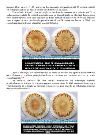huminas álcali solúveis (HAS) através de fracionamento consecutivos (até 28 vezes) avaliando
em soluções alcalinas de Soda Caustica e/ou Pirofosfato de Sódio.
Este método adaptado para a extração de huminas do solo com uma solução a 0,5% de
soda cáustica (metade da concentração tradicional na Cromatografia de Pfeiffer). Isso permitiu
obter cromatogramas com uma variação do Ferro notável em função da coleta das amostras
antes e depois de uma precipitação pesada (100 ml em 24 horas). As formas de Silício nos
cromatogramas mostraram alterações igualmente fortes.
Após a realização dos cromatogramas as amostras ficaram em repouso durante 90 dias
para observar a continua precipitação lenta e contínua das huminas através de novos
cromatogramas.[178]
As amostras retiradas de uma mesma propriedade têm diferenças notáveis,
principalmente na amostra da horta que contém um teor maior de M.O mostram a importância
vital da mesma na formação de huminas como processo para impedir as influências negativas
da mudança climática.[179]
 