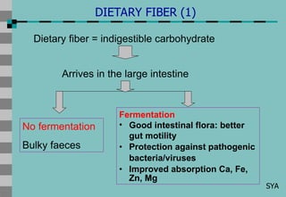 Comprehensive Overview of Dietary Fiber and Functional Carbohydrates in ...