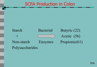 Comprehensive Overview of Dietary Fiber and Functional Carbohydrates in ...