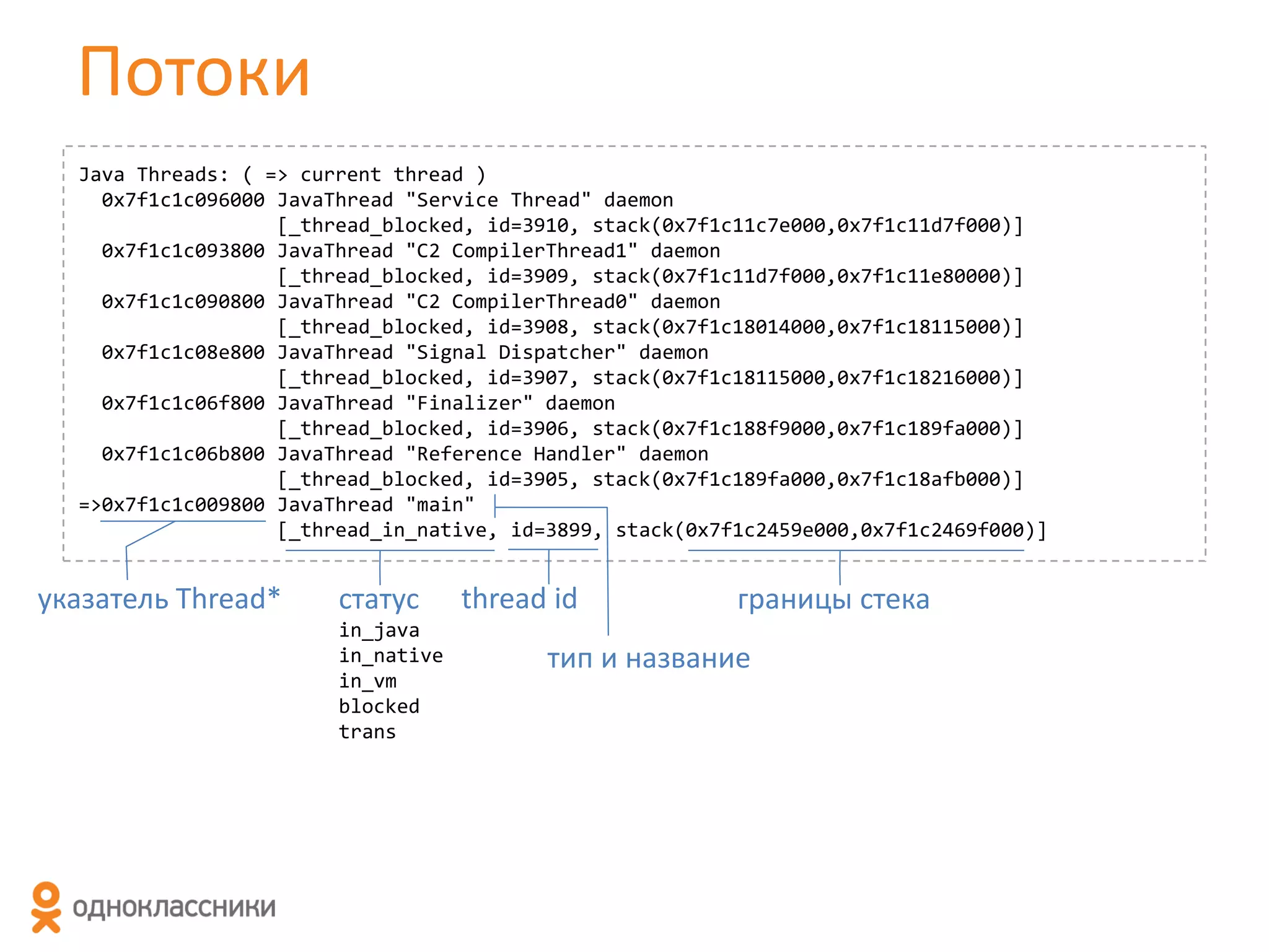 Потоки
Java Threads: ( => current thread )
0x7f1c1c096000 JavaThread "Service Thread" daemon
[_thread_blocked, id=3910, stack(0x7f1c11c7e000,0x7f1c11d7f000)]
0x7f1c1c093800 JavaThread "C2 CompilerThread1" daemon
[_thread_blocked, id=3909, stack(0x7f1c11d7f000,0x7f1c11e80000)]
0x7f1c1c090800 JavaThread "C2 CompilerThread0" daemon
[_thread_blocked, id=3908, stack(0x7f1c18014000,0x7f1c18115000)]
0x7f1c1c08e800 JavaThread "Signal Dispatcher" daemon
[_thread_blocked, id=3907, stack(0x7f1c18115000,0x7f1c18216000)]
0x7f1c1c06f800 JavaThread "Finalizer" daemon
[_thread_blocked, id=3906, stack(0x7f1c188f9000,0x7f1c189fa000)]
0x7f1c1c06b800 JavaThread "Reference Handler" daemon
[_thread_blocked, id=3905, stack(0x7f1c189fa000,0x7f1c18afb000)]
=>0x7f1c1c009800 JavaThread "main"
[_thread_in_native, id=3899, stack(0x7f1c2459e000,0x7f1c2469f000)]

указатель Thread*

статус
in_java
in_native
in_vm
blocked
trans

thread id

границы стека

тип и название

 