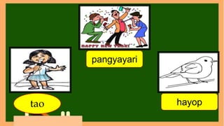 tao
pangyayari
hayop
 