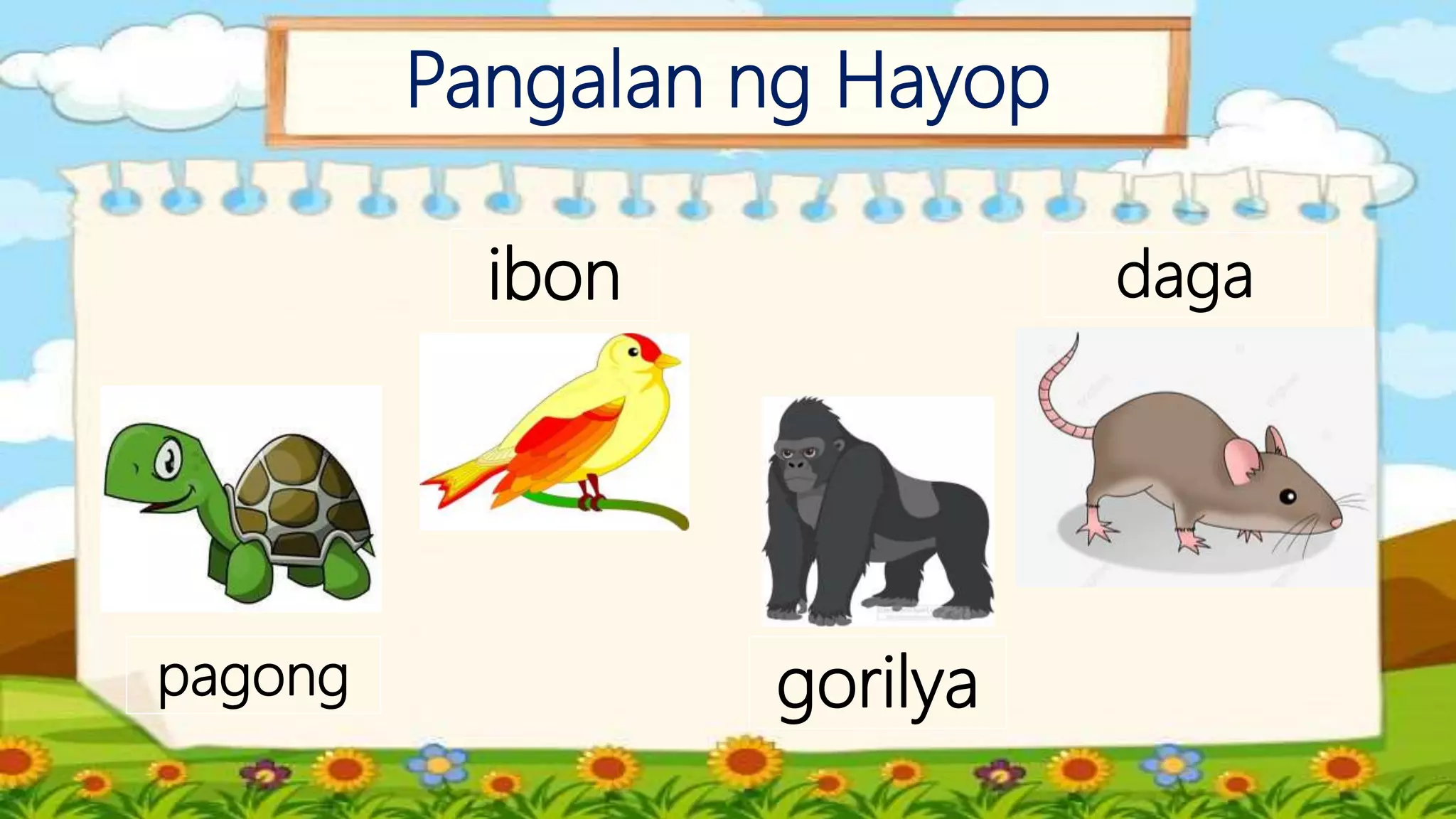 Pangalan ng Hayop
pagong
ibon
gorilya
daga