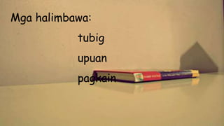 Mga halimbawa:
tubig
upuan
pagkain
 