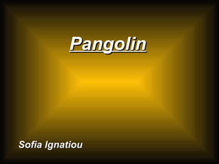 PangolinPangolin
Sofia IgnatiouSofia Ignatiou
 