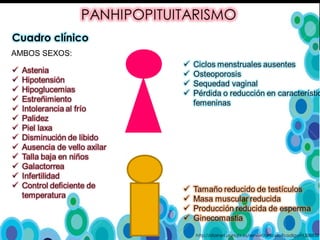 AMBOS SEXOS:
http://dialnet.unirioja.es/servlet/articulo?codigo=1308850
 