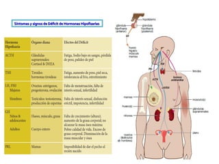 Síntomas y signos de Déficit de Hormonas HipofisariasSíntomas y signos de Déficit de Hormonas Hipofisarias
 