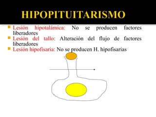  Lesión hipotalámica: No se producen factores
liberadores
 Lesión del tallo: Alteración del flujo de factores
liberadores
 Lesión hipofisaria: No se producen H. hipofisarias
 