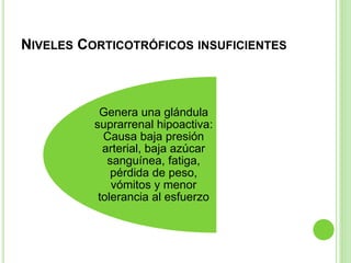 NIVELES CORTICOTRÓFICOS INSUFICIENTES 
Genera una glándula 
suprarrenal hipoactiva: 
Causa baja presión 
arterial, baja azúcar 
sanguínea, fatiga, 
pérdida de peso, 
vómitos y menor 
tolerancia al esfuerzo 
 