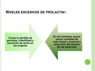 NIVELES EXCESIVOS DE PROLACTINA 
Causa la pérdida de 
períodos, infertilidad y 
secreción de leche en 
las mujeres 
En los hombres causa: 
menor cantidad de 
vello facial y corporal y 
reducción del tamaño 
de los testículos 
 
