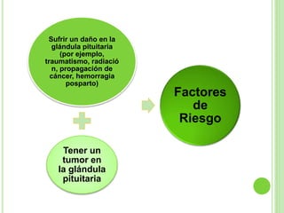 Sufrir un daño en la 
glándula pituitaria 
(por ejemplo, 
traumatismo, radiació 
n, propagación de 
cáncer, hemorragia 
posparto) 
Tener un 
tumor en 
la glándula 
pituitaria 
Factores 
de 
Riesgo 
 