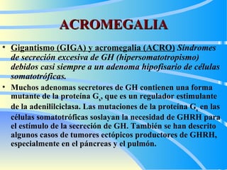 ACROMEGALIA Gigantismo  (GIGA)  y acromegalia  (ACRO)   Síndr omes de secreción excesiva de GH (hipersomatotropismo) debidos casi siempre a un adenoma hipofisario de células somatotróficas.   Muchos adenomas secretores de GH contienen una forma mutante de la proteína G s , que es un regulador estimulante de la adenililciclasa. Las mutaciones de la proteína G s  en las células somatotróficas soslayan la necesidad de GHRH para el estímulo de la secreción de GH. También se han descrito algunos casos de tumores ectópicos productores de GHRH, especialmente en el páncreas y el pulmón.   