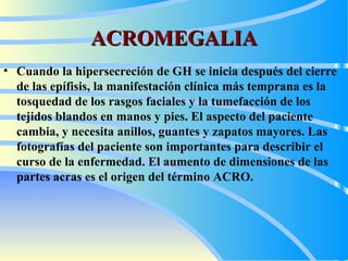 ACROMEGALIA Cuando la hipersecreción de GH se inicia después del cierre de las epífisis, la manifestación clínica más temprana es la tosquedad de los rasgos faciales y la tumefacción de los tejidos blandos en manos y pies. El aspecto del paciente cambia, y necesita anillos, guantes y zapatos mayores. Las fotografías del paciente son importantes para describir el curso de la enfermedad. El aumento de dimensiones de las partes acras es el origen del término  ACRO .   