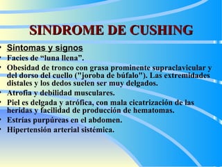 SINDROME DE CUSHING S íntomas y signos   F acies de  “ luna llena ”. O besidad de tronco con grasa prominente supraclavicular y del dorso del cuello ("joroba de búfalo") .   L as extremidades distales y los dedos suelen ser muy delgados.  A trofia y debilidad musculares.  P iel es delgada y atrófica, con mala cicatrización de las heridas y facilidad de producción de hematomas.  E strías purpúreas en el abdomen.  H ipertensión  arterial sistémica.   