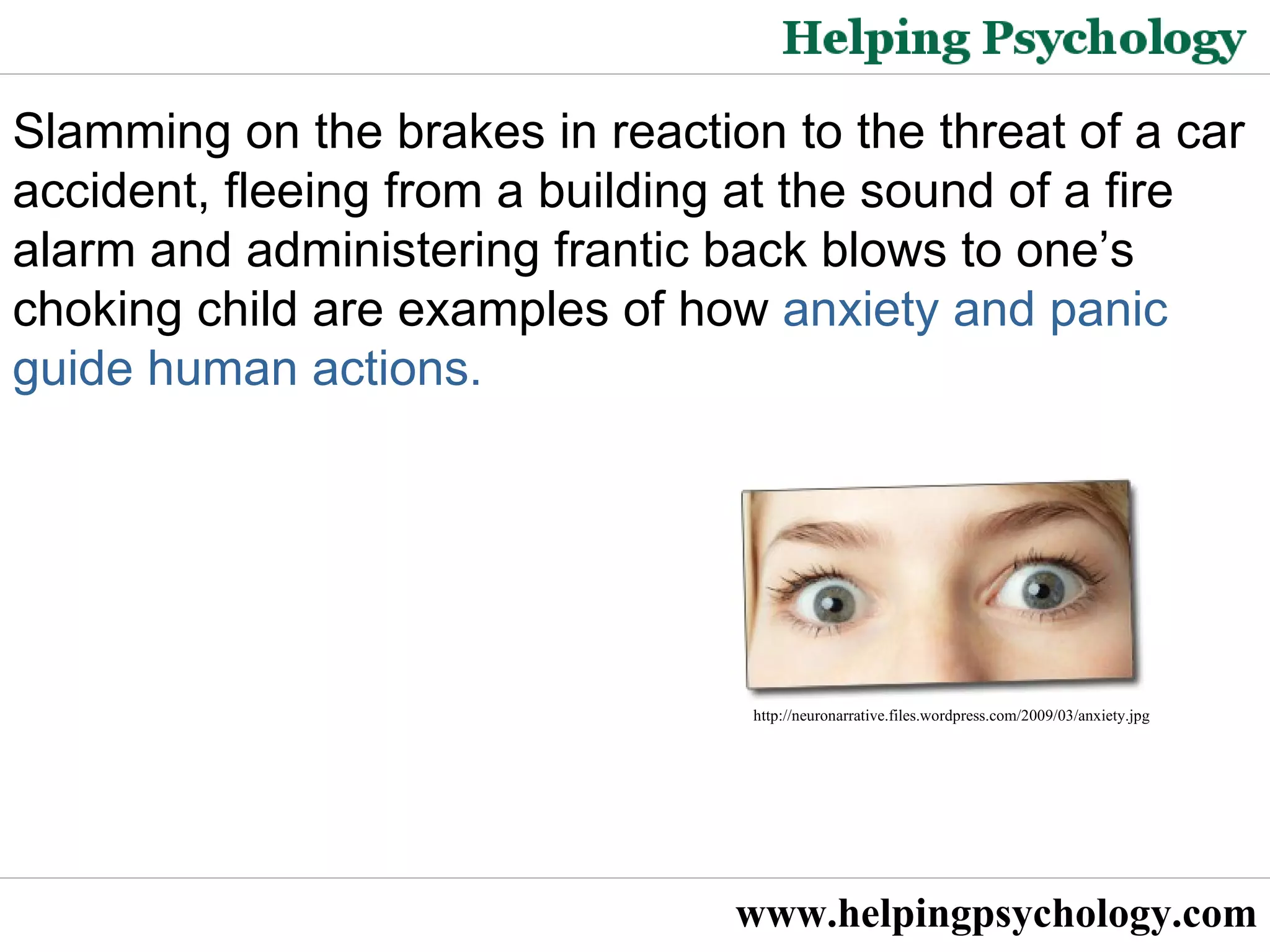 Panic Disorder : Controlling Fight Or Flight | PPT