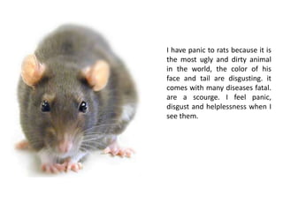 I have panic to rats because it is the most ugly and dirty animal in the world, the color of his face and tail are disgusting. it comes with many diseases fatal. are a scourge. I feel panic, disgust and helplessness when I see them.