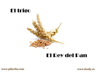 El trigo

El Rey del Pan
www.pikerita.com

www.foody.es

 