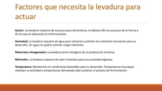 Factores que necesita la levadura para
actuar
Azúcar: La levadura requiere de azucares para alimentarse, la obtiene dfe los azucares de la harina y
de los que se adicionan en la formulación.
Humedad: La levadura requiere de agua para activarse y asimilar los nutrientes necesarios para su
desarrollo. Sin agua no podría asimilar ningún alimento.
Materiales nitrogenados: La levadura toma nitrógeno de la proteína de la harina.
Minerales: La levadura requiere de sales minerales para una actividad vigorosa.
Temperatura: Mantenerla en condiciones favorables para su desarrollo. Temperaturas muy bajas
retardan su actividad y temperaturas demasiado altas aceleran el proceso de fermentación.
 