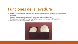 • Posibilita la fermentación, transforma los azúcares a gas carbónico, alcohol y algunas sustancias
aromáticas.
• Aumenta el valor nutritivo, suministra proteína de buena calidad al pan.
• Convierte una masa cruda en un producto ligero que al hornearse es 100% digerible.
• Proporciona el sabor característica al pan.
Funciones de la levadura
 