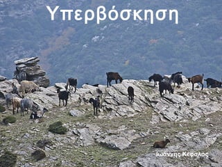Υπερβόσκηση 
Ιωάννης Κέφαλος 
Photo Credit:: Fundacion Zoobreviven 
 