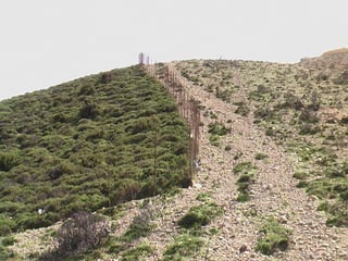 IKARIA PANIGIRIA