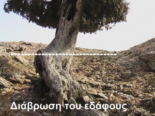 ------------------------------- 
Διάβρωση του εδάφους 
 