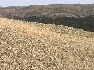 IKARIA PANIGIRIA