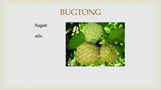 BUGTONG
Sagot:
atis
 