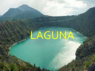 LAGUNA
LAGUNA
 