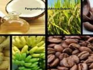 Pangunahing produkto sa Quezon
 