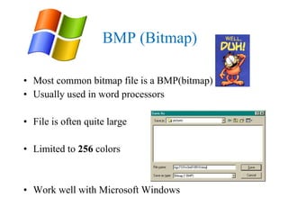 BMP (Bitmap) Most common bitmap file is a BMP(bitmap) Usually used in word processors File is often quite large  Limited to  256  colors Work well with Microsoft Windows 