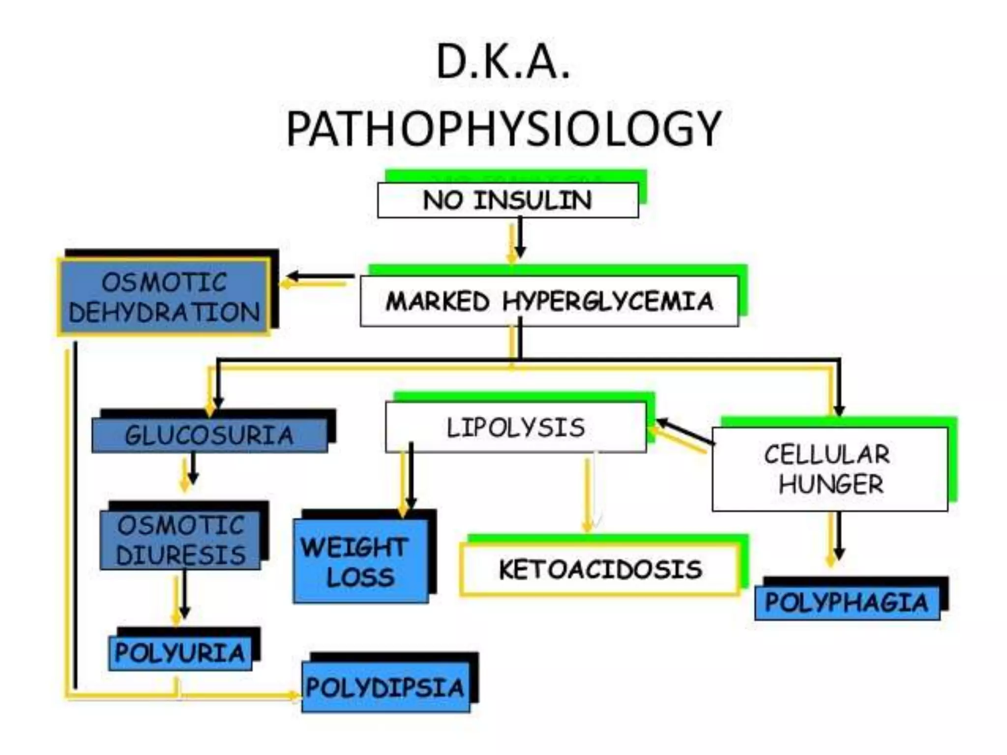 DIABETIC KETOACIDOSIS (DKA) PPTX