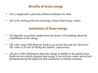 Measures of Feed Energy- Gross Energy, Digestible Energy, Metabolisab…