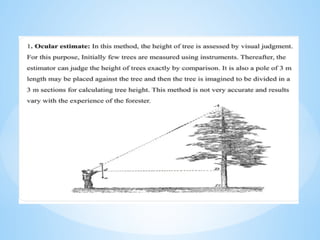 Forest Cast Computer Measurements measurement of forest tree crop presentation ppt.pptx