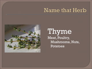 Thyme
Meat, Poultry,
Mushrooms, Nuts,
Potatoes
 