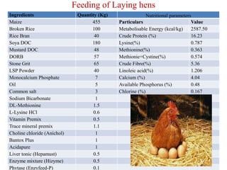 Feeding of Laying hens
Ingredients Quantity (Kg) Nutritional parameters
Maize 455 Particulars Value
Broken Rice 100 Metabolisable Energy (kcal/kg) 2587.50
Rice Bran 40 Crude Protein (%) 16.23
Soya DOC 180 Lysine(%) 0.787
Mustard DOC 48 Methionine(%) 0.363
DORB 57 Methionie+Cystine(%) 0.574
Stone Grit 65 Crude Fibre(%) 5.36
LSP Powder 40 Linoleic acid(%) 1.206
Monocalcium Phosphate 7 Calcium (%) 4.04
Oil 5 Available Phosphorus (%) 0.48
Common salt 3 Chlorine (%) 0.167
Sodium Bicarbonate 1
DL-Methionine 1.5
L-Lysine HCl 0.6
Vitamin Premix 0.5
Trace mineral premix 1.1
Choline chloride (Anichol) 1
Bantox Plus 1
Acidapure 1
Liver tonic (Hepamust) 0.5
Enzyme mixture (Hizyme) 0.5
Phytase (Enzyfeed-P) 0.1
 