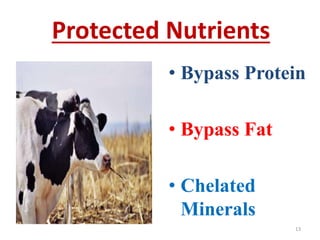Protected Nutrients
• Bypass Protein
• Bypass Fat
• Chelated
Minerals
13
 